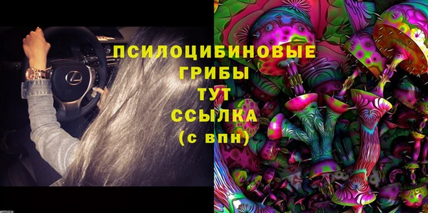 кокс Магас