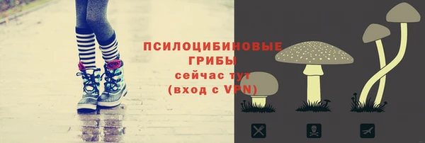 кокс Магас