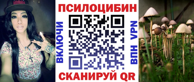 Псилоцибиновые грибы Psilocybine cubensis  Приволжский 